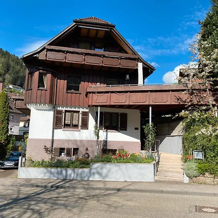 Haag Paulinenstrasse Apartmán Bad Wildbad